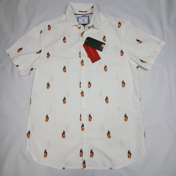 Flower Santa Hat Pineapple Shirt | Poshmark